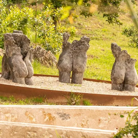 Finca Tomir-3